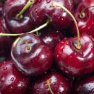 Vișinată rețete - Cum să prepari cea mai bună vișinată de casă