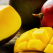 Beneficiile consumului de mango