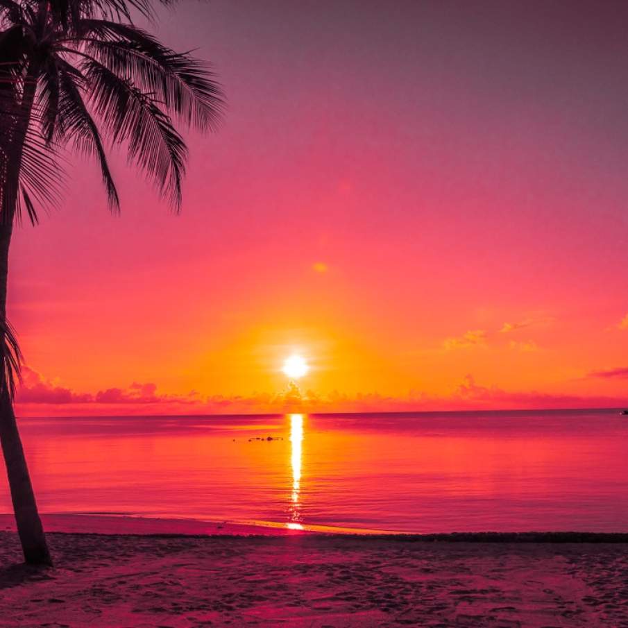 Rasarit de soare tropical, surprins deasupra oceanului si printre frunzele palmierului de cocos