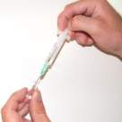 Vaccinarea pisicilor 