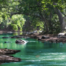 Harta raurilor in pericol: Daca iubesti natura, contribuie la protejarea raurilor din Romania