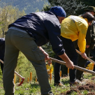 Bergenbier continua racorirea si planteaza inca 50.000 de brazi