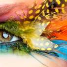 Test: Ce culoare are personalitatea ta?