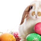 Cele mai deosebite Traditii si Obiceiuri de Paste la romani