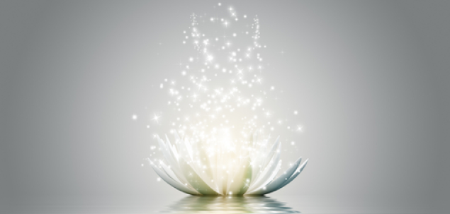 Ce iti transmite aceasta imagine?