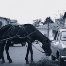 De ce este Romania altfel? 