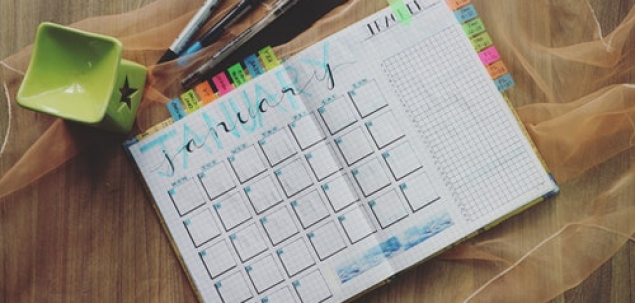 Cate zile are un an bisect?