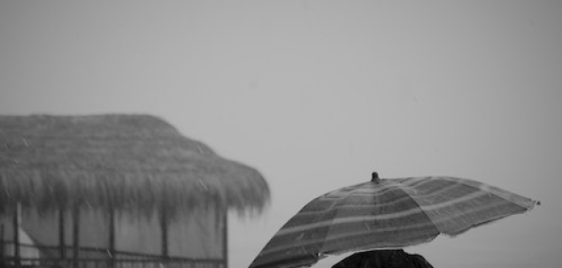 Ce calitate apreciezi cel mai mult la o alta persoana?