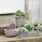 Secretul mirodeniilor: Cum sa ai o oaza de miresme in apartament 