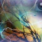 31 de lucruri interesante... din si despre Viata 