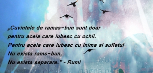 Ce  ganduri si sentimente iti provoaca acest poem de Rumi?