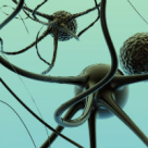 Stem Sure sprijina maternologia