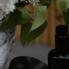 Iehana Cosmetics, o afacere de familie născută din dragoste pentru natură și cosmeticele organice. ”Lucrurile se învață din mers!” 