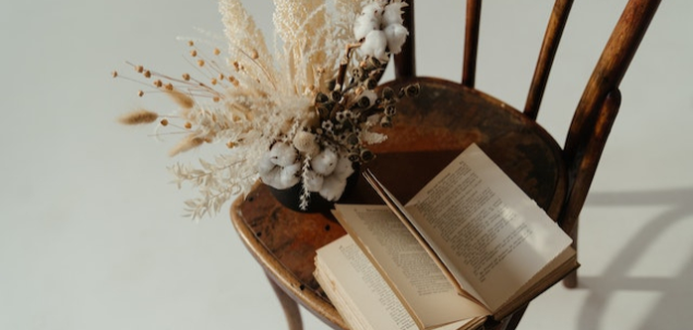 Ce inseamna autodafe? 