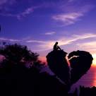 Atunci când te doare, adu-ți aminte că totul este trecător