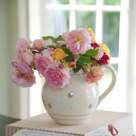 Despre ceainice, cu dragoste. 6 intrebuintari originale