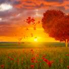 Libertatea emotionala: Poti sa iubesti a fi tu?