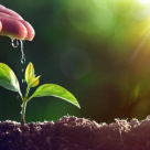 Viața stă mereu sub semnul primăverii