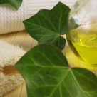 Iedera medicinala si efectele ei vindecatoare