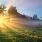 Când ai uitat să mai crezi în miracole, Universul îți oferă cele mai frumoase surprize!