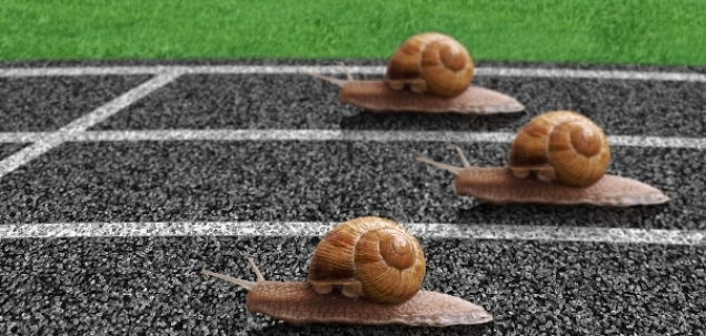 Cat de des faci sport?