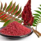 Sumacul - condimentul minune bogat în antioxidanți: beneficii, utilizări și proprietăți