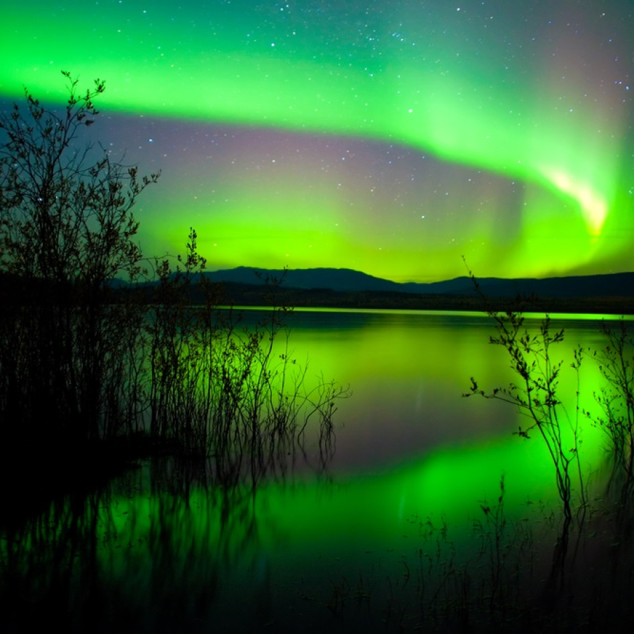 Luminile intense ale Aurorei Boreale deasupra Lacului Laberge 