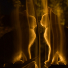 Pisica – gardianul tău astral. Alungă energiile negative din locuință și are grijă de sufletul tău