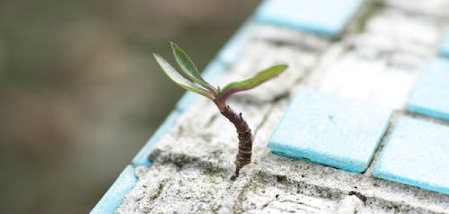 Care este cel mai important lucru in viata?