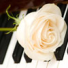 De ce nu mi-am pierdut increderea in femei?