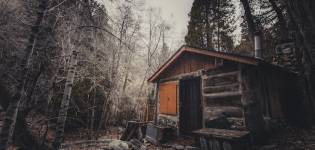 Ai luat o decizie inspirata! Acum ai ajuns la o casuta in padure. Intri in ea?