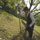 Longevitate uimitoare în Ținutul Buzăului: Comunitățile cu un număr remarcabil de locuitori de peste 90 de ani dezvăluie secretele unei vieți lungi