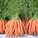 Reteta de post: Mancare de morcovi