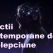 7 lectii contemporane de intelepciune 