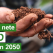 Planul Nestlé EMENA pentru emisii nete zero până în 2050