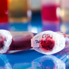 Toti viitorii parinti sa citeasca acest articol: ADEVARUL despre CELULELE STEM