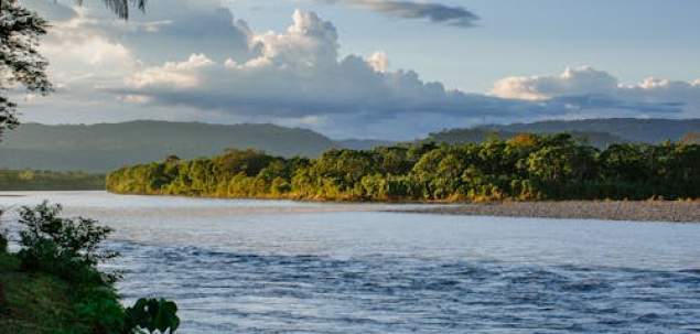 Ce element al naturii te reprezinta cel mai bine?