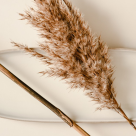 Cum obții corpul perfect de plajă, cu ajutorul masajului cu bambus?