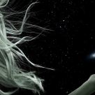  Acestea sunt cele 11 Legi ale Universului! Orice om trebuie sa le stie