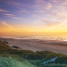 Știu că aștepți zile mai însorite și îți promit că vor veni!