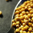 Alimente care ne ameninta inteligenta 