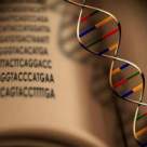 Cum simti, cum esti... Cele 30 de cauze emotional-energetice ale bolilor