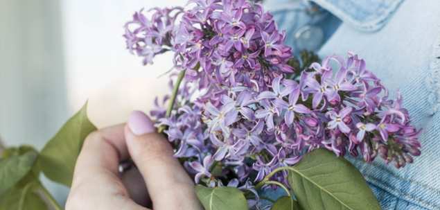 Ce nuanta este aceasta?