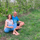 Secretul din spatele unei livezi de cireșe bio:  de la sol viu la agricultură regenerativă