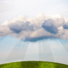 TESTUL celor 4 USI - un test psihologic uimitor despre viata, munca si iubirile tale 