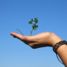 Ce este maturitatea? 