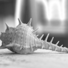 1 din 4 pacienti sufera de osteoporoza