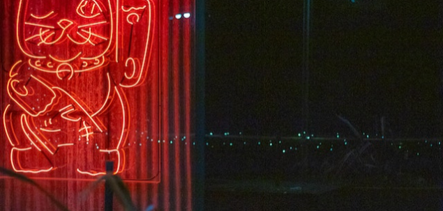 Pe ce plan ti-ai dori sa evoluezi?