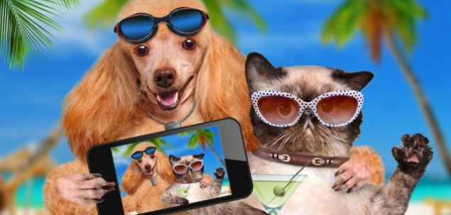 Crezi ca poate exista prietenie adevarata intre un barbat si o femeie? Fara alte implicatii!