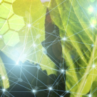 Genii ale Omenirii: 10 idei revolutionare pentru viata!